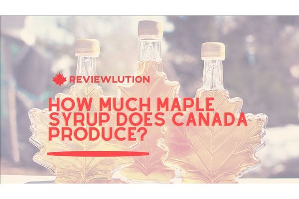 How Much Maple Syrup Does Canada Produce?