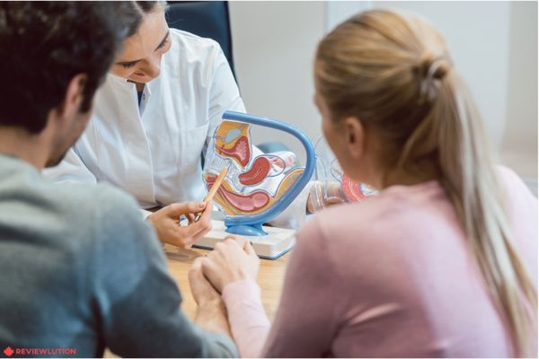 doctor pointing on a uterus 
