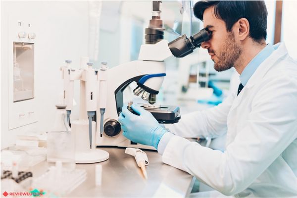 doctor watching persons eggs through microscope 